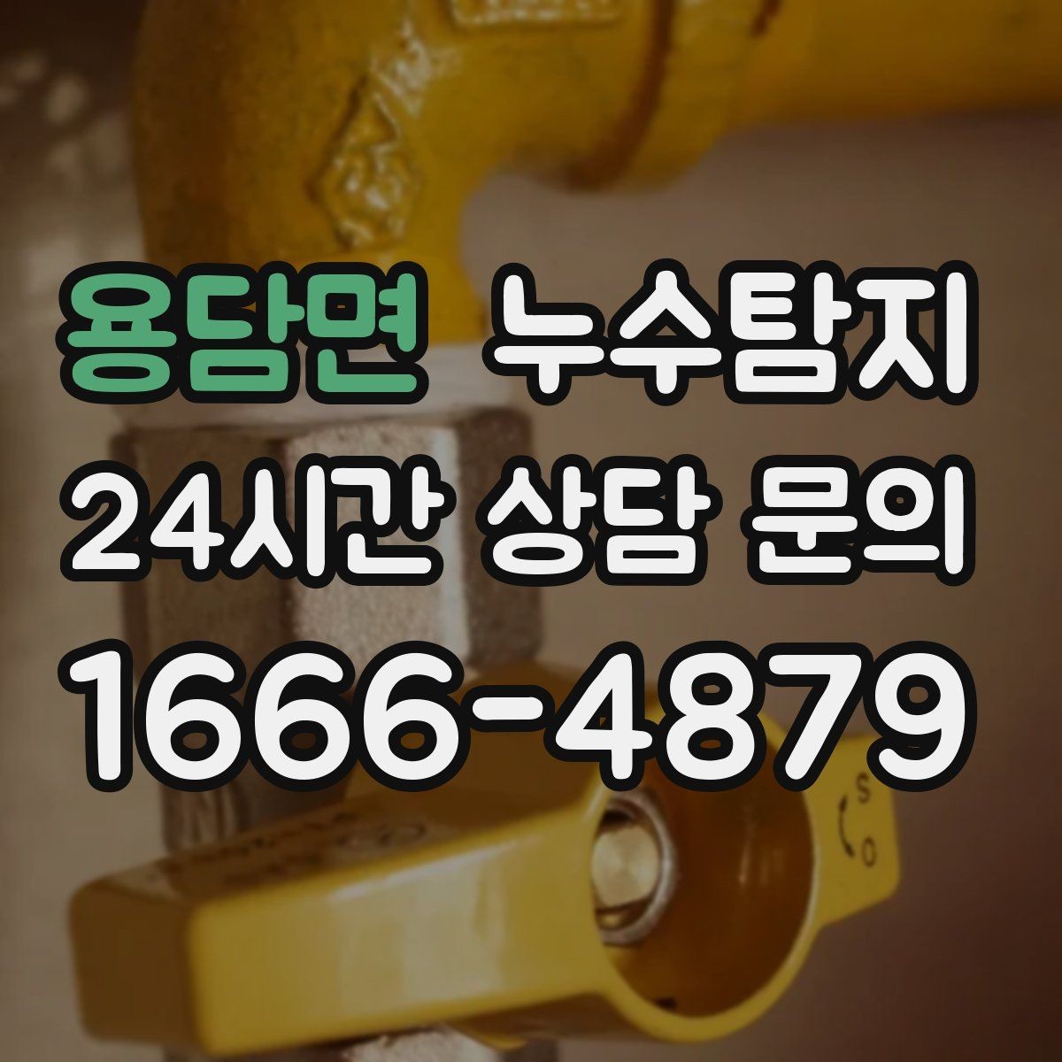 용담면 누수탐지 아이와 반려동물을 위한 안전 점검
