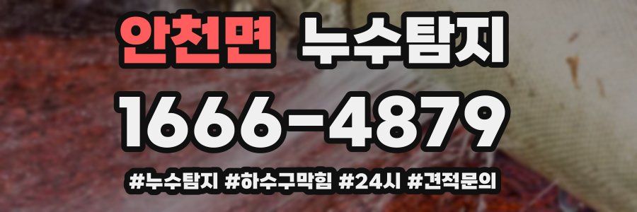 누수닥터 누수탐지