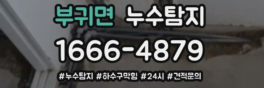 누수닥터 누수탐지