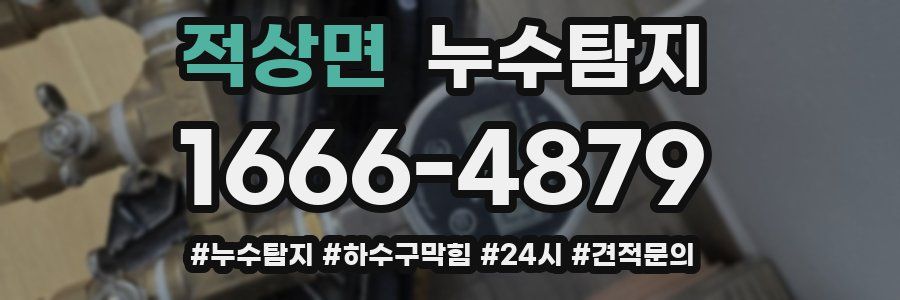 누수닥터 누수탐지