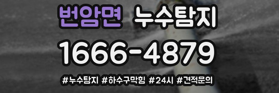 누수닥터 누수탐지