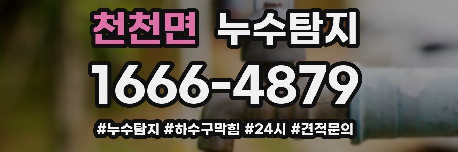 누수닥터 누수탐지