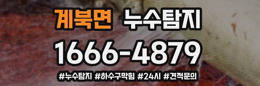 누수닥터 누수탐지