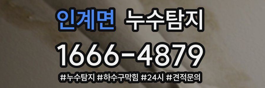 누수닥터 누수탐지