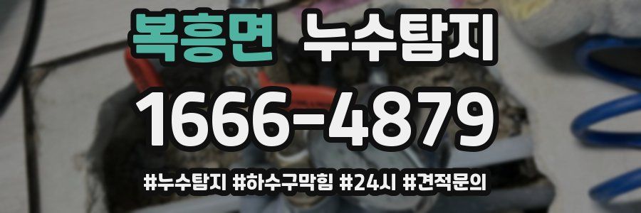 누수닥터 누수탐지