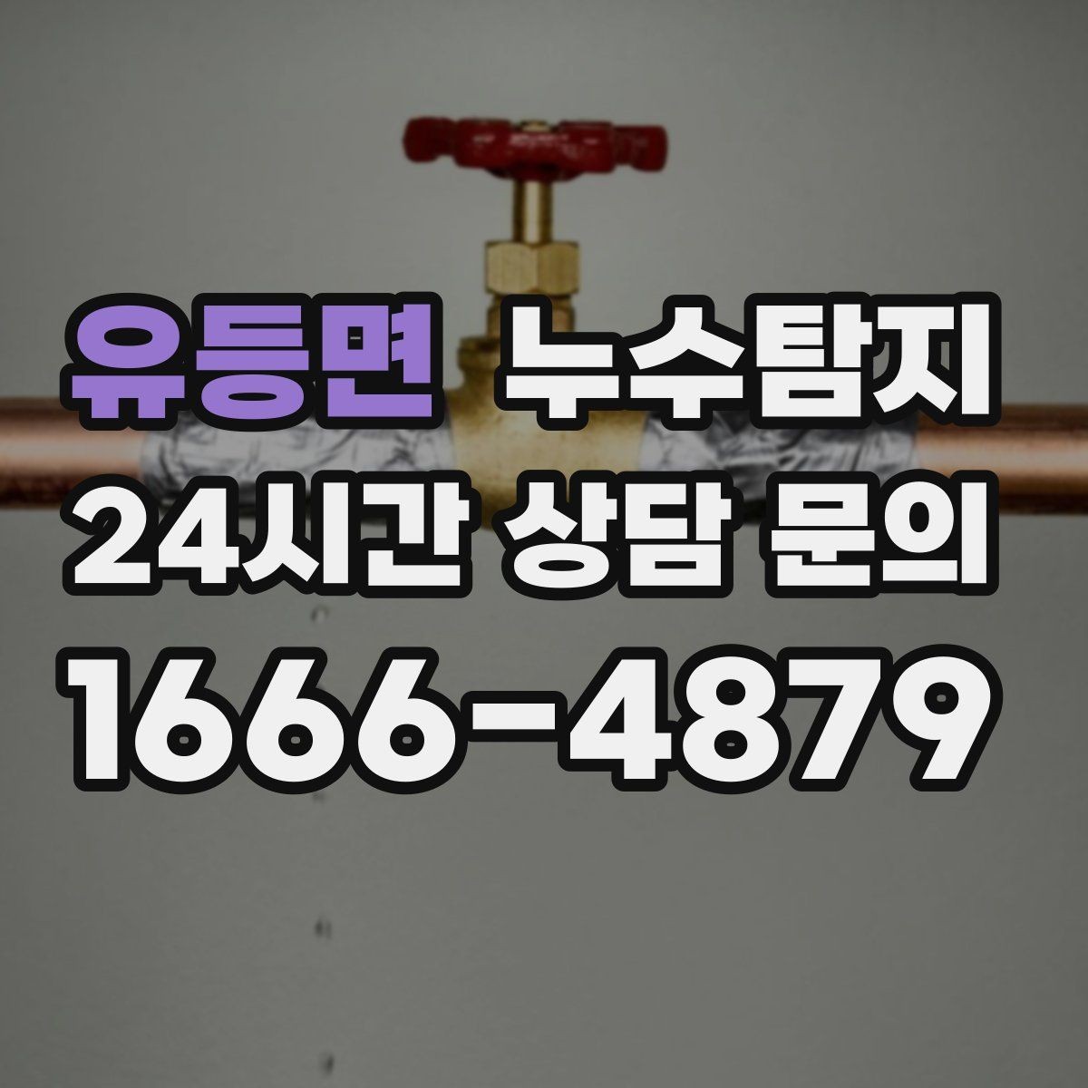 유등면 누수탐지 반지하 습기 문제 해결기