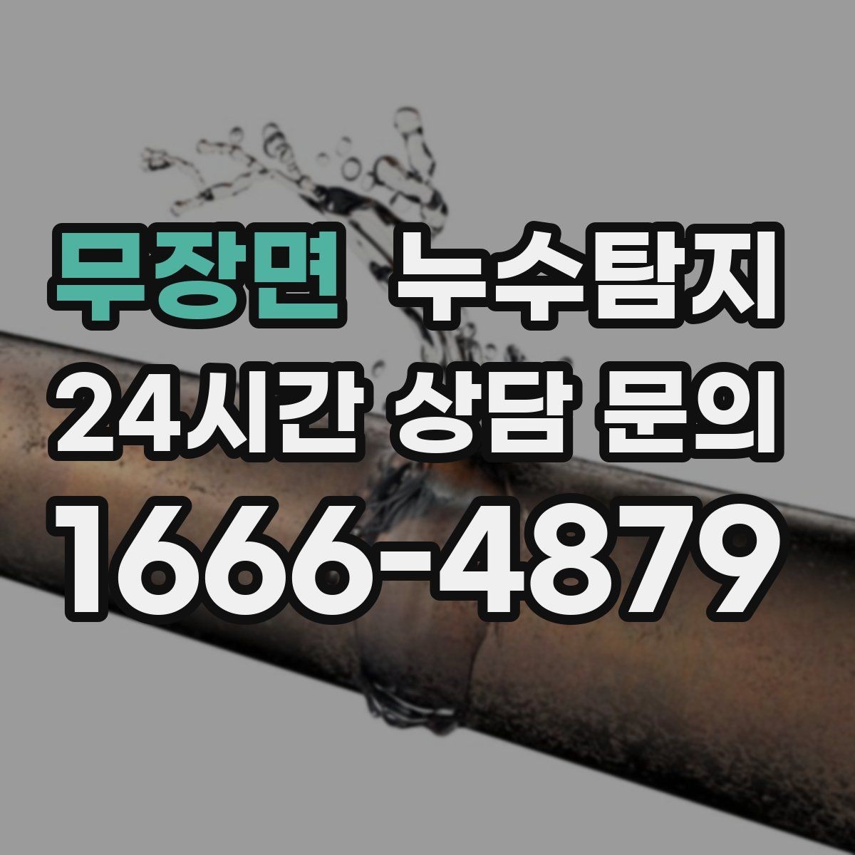 무장면 누수탐지 임대인과 임차인이 함께 볼 가이드