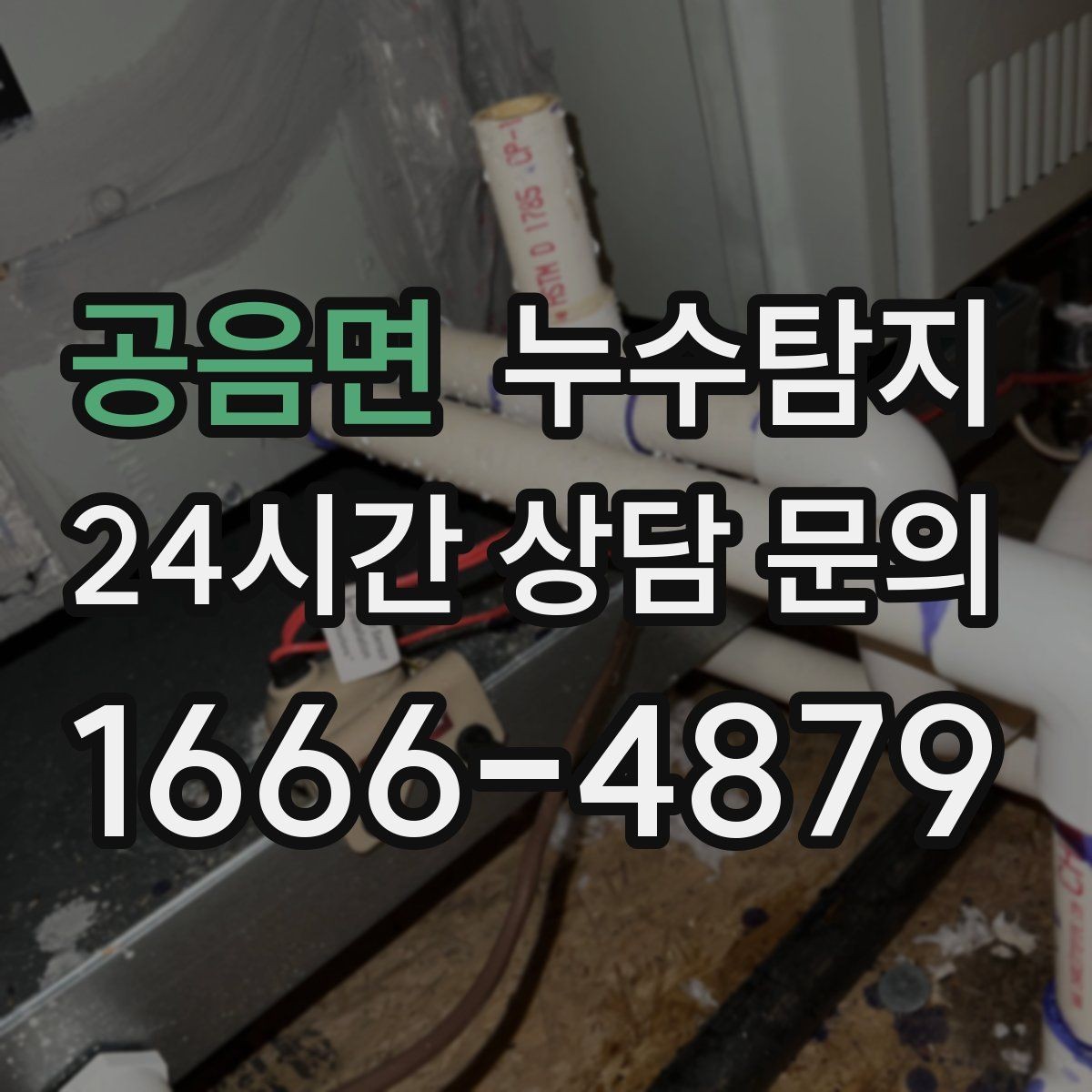 공음면 누수탐지 옥상 배수 드레인 청결 유지