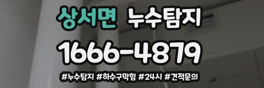 누수닥터 누수탐지