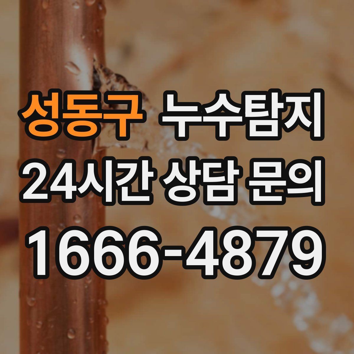성동구 누수탐지 거실 조명 주변 얼룩 해결기