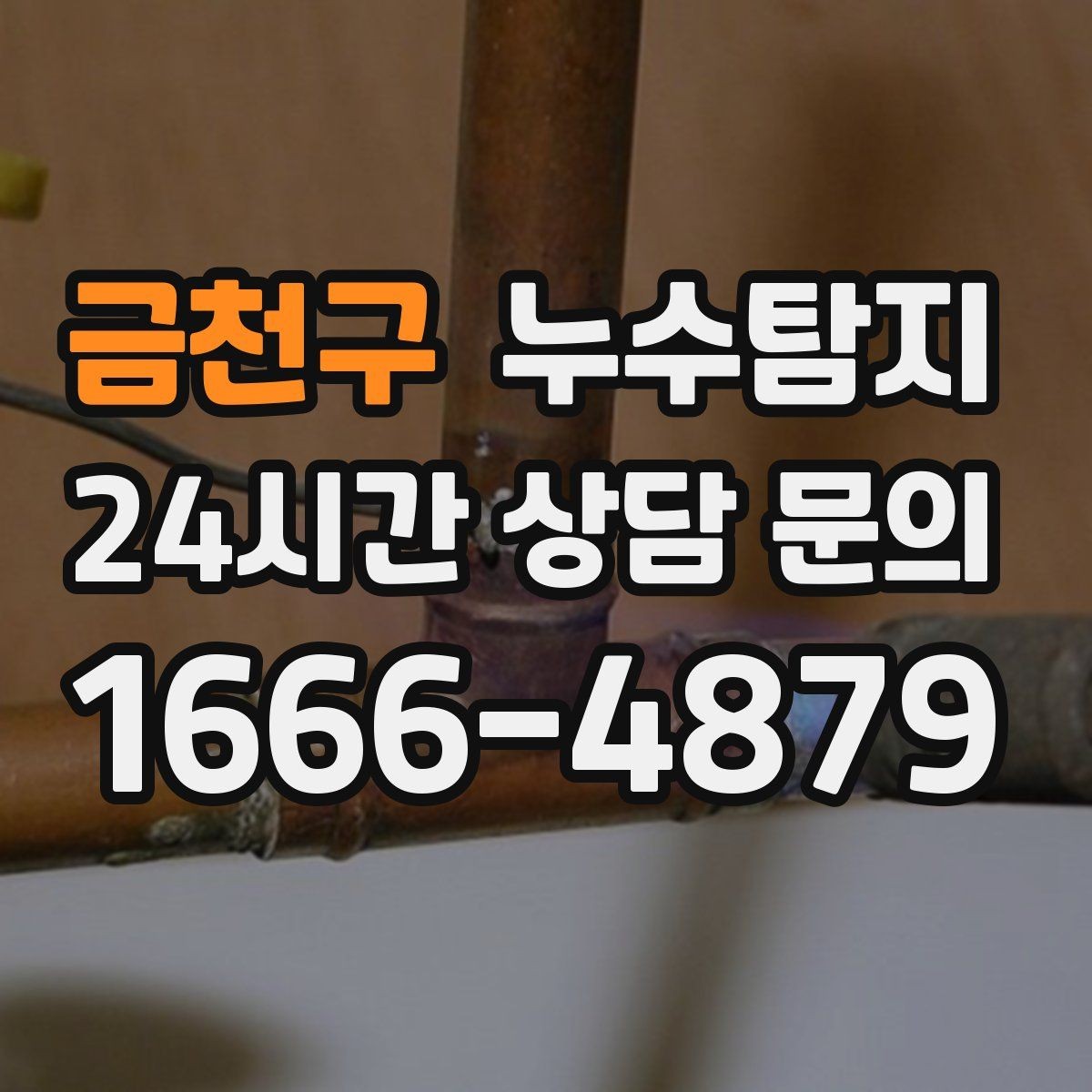금천구 누수탐지 현관 타일 습기 해결 과정