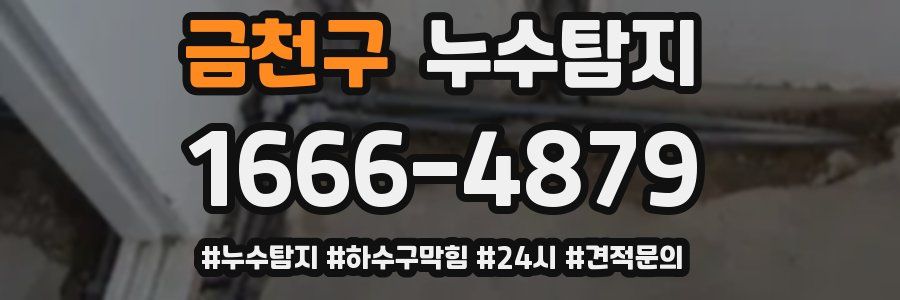 누수닥터 누수탐지