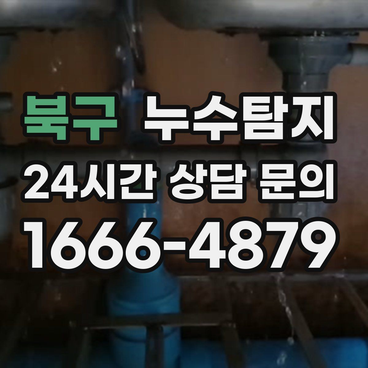 북구 누수탐지 드레스룸 곰팡이 청결 회복