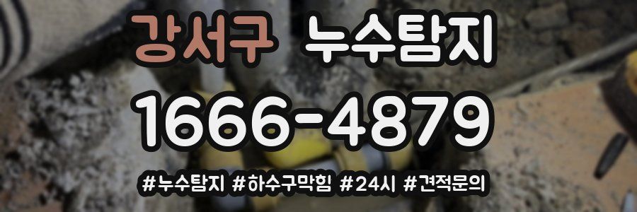 누수닥터 누수탐지