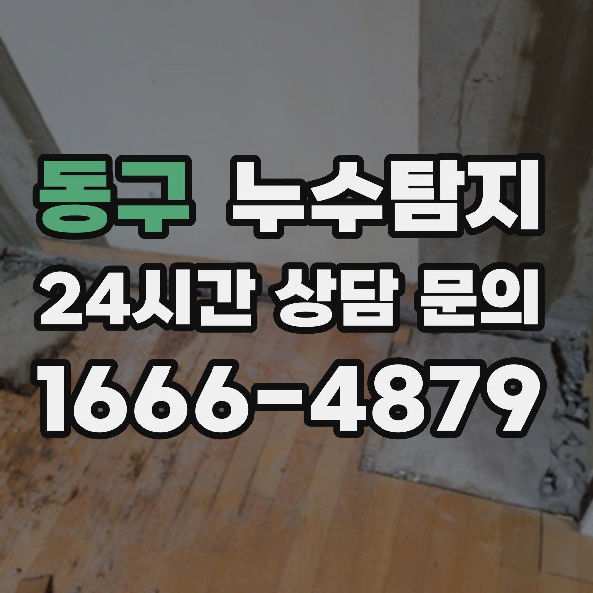 동구 누수탐지 실내 곰팡이와 악취 방지를 위한 방법