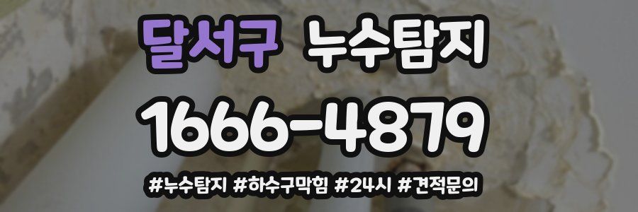 누수닥터 누수탐지