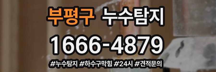 누수닥터 누수탐지