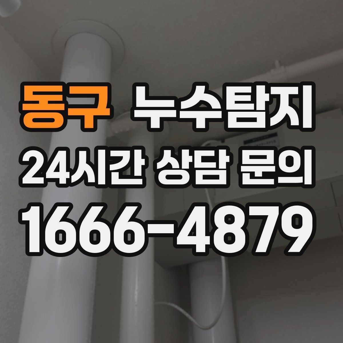 동구 누수탐지 하부장 곰팡이 정리하고 재발 방지