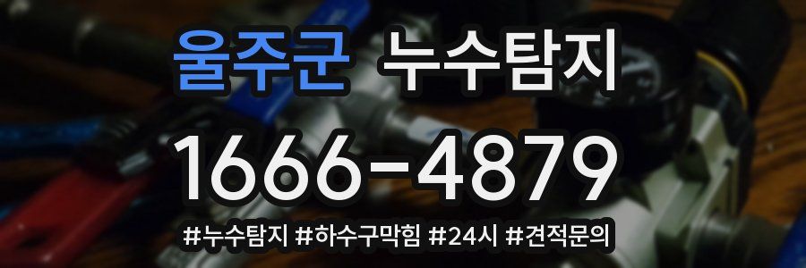 누수닥터 누수탐지