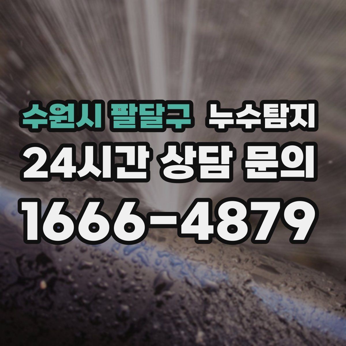 수원시 팔달구 누수탐지 반지하 습기 문제가 발생했다면
