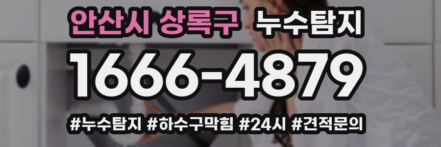 누수닥터 누수탐지