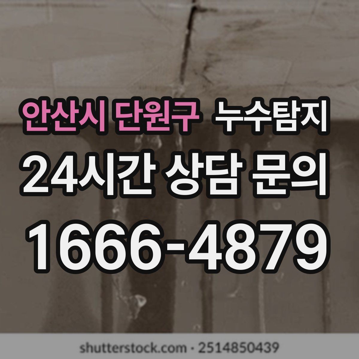 안산시 단원구 누수탐지 욕실 곰팡이 사라진 변화 이야기