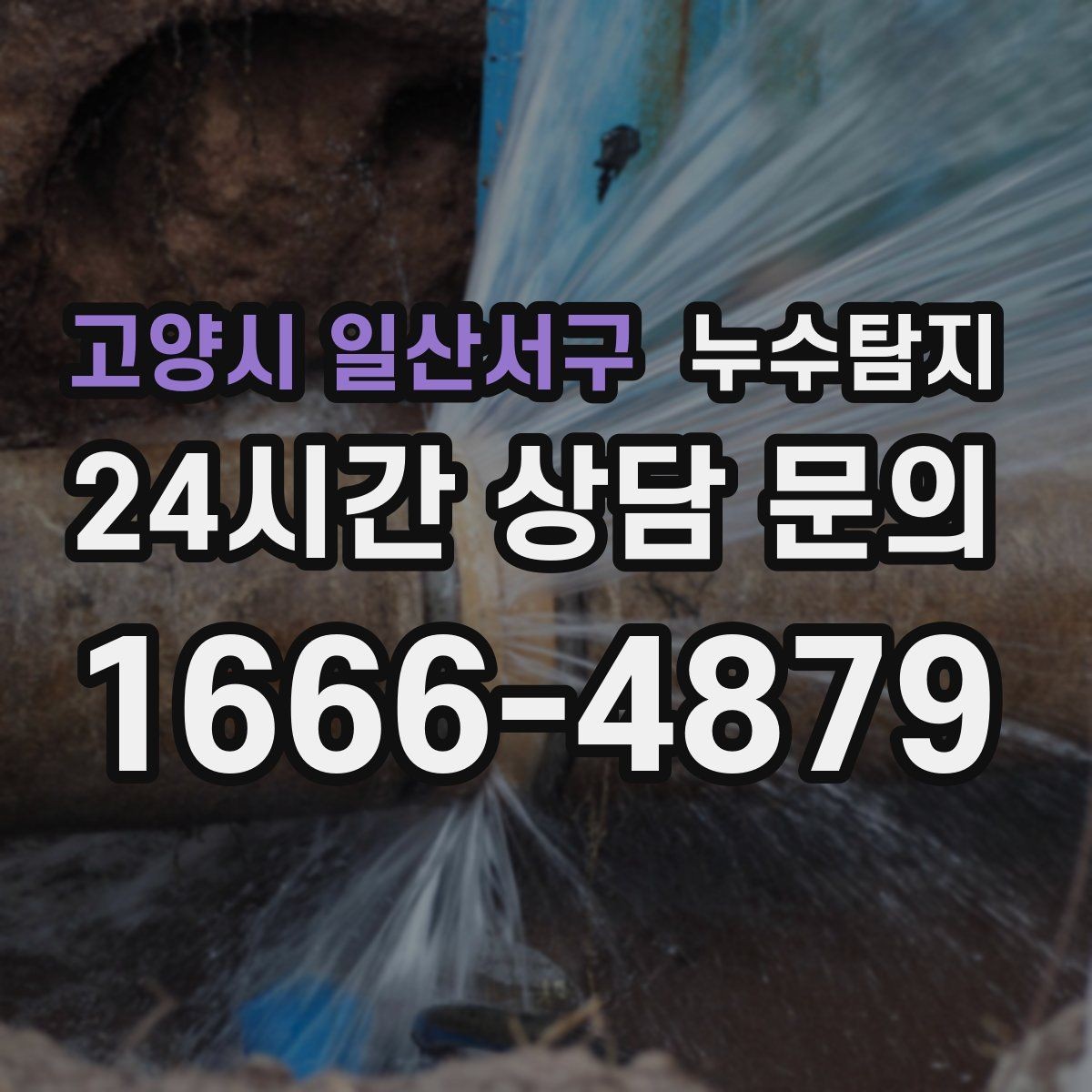 고양시 일산서구 누수탐지 천장 벽 바닥 누수 진단