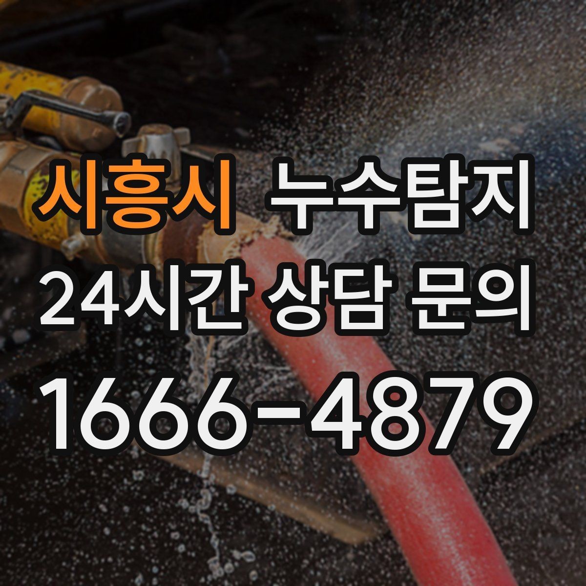 시흥시 누수탐지 외벽 크랙 침투수 대응
