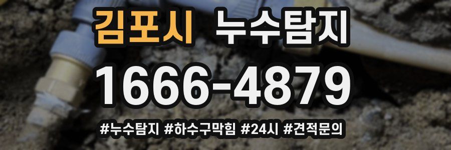 누수닥터 누수탐지