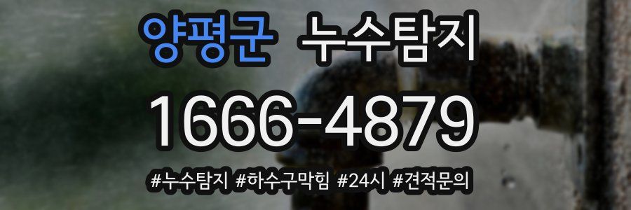 누수닥터 누수탐지