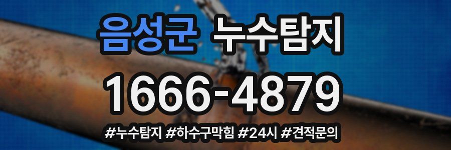 누수닥터 누수탐지