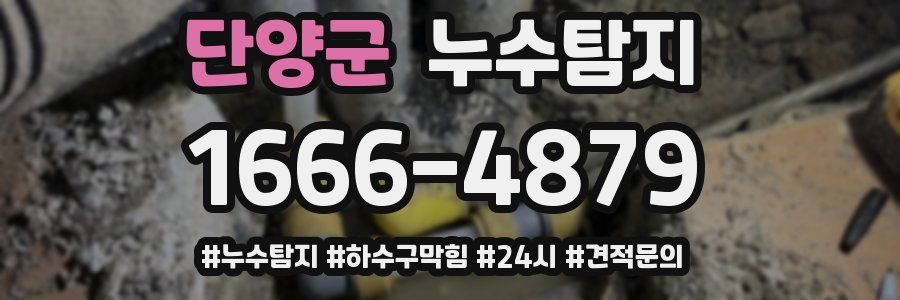 누수닥터 누수탐지