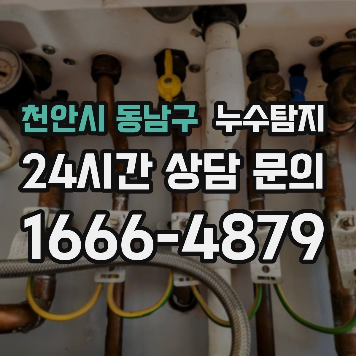 천안시 동남구 누수탐지 상가와 카페 영업 중 점검 노하우