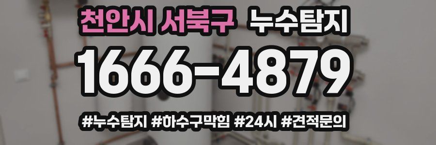 누수닥터 누수탐지