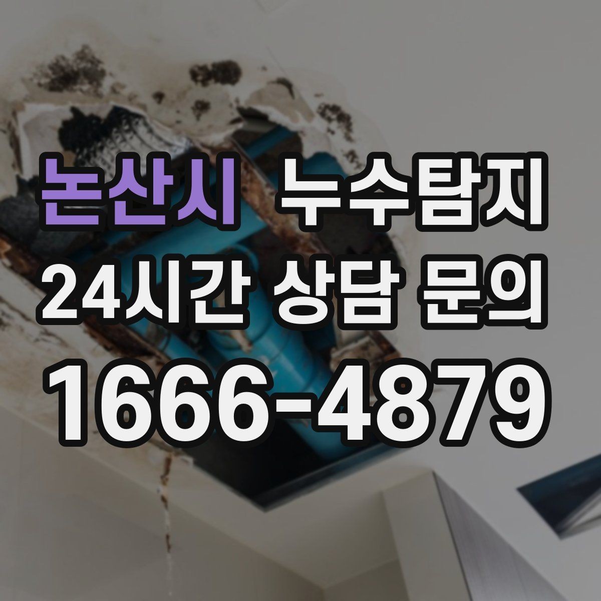 논산시 누수탐지 아이 방 곰팡이 원인 끝까지 추적