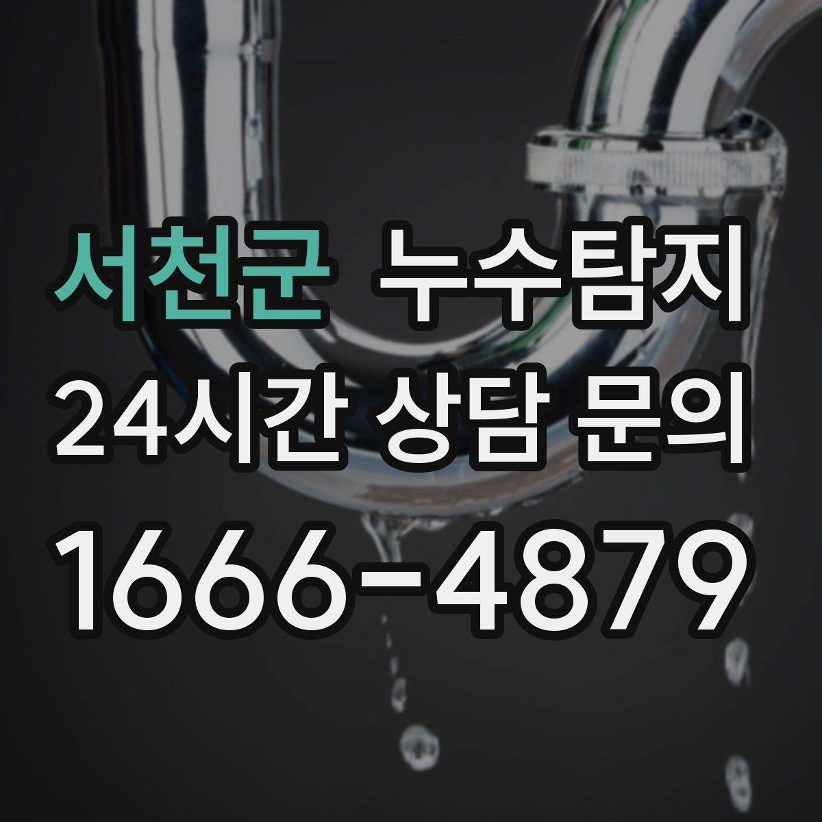서천군 누수탐지 단열 결로와 누수 구분 진단