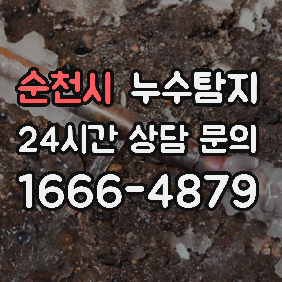 순천시 누수탐지 타일 틈새 점검으로 찾은 누수