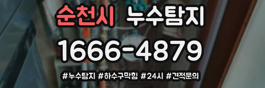 누수닥터 누수탐지