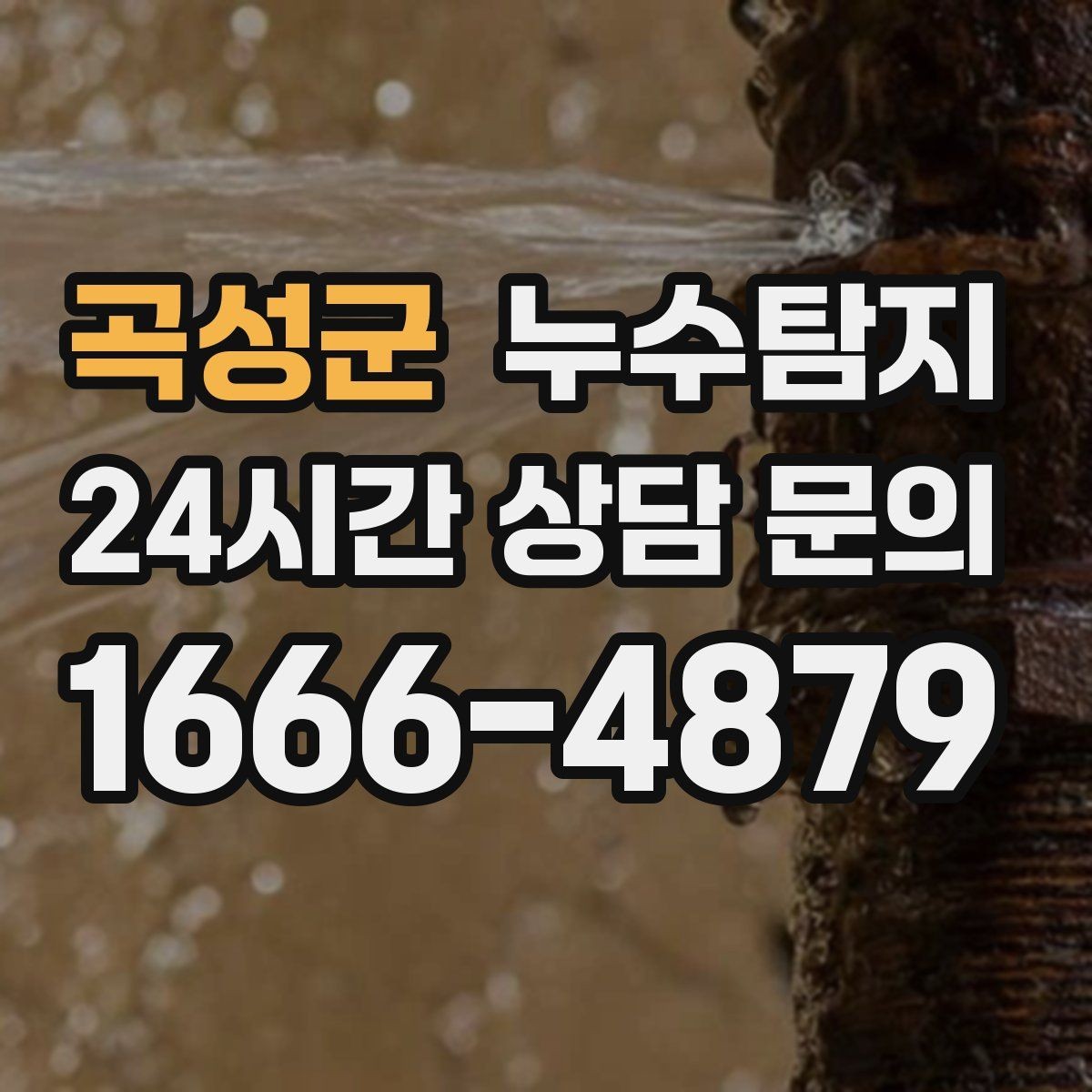 곡성군 누수탐지 새집 곰팡이 원인 차단