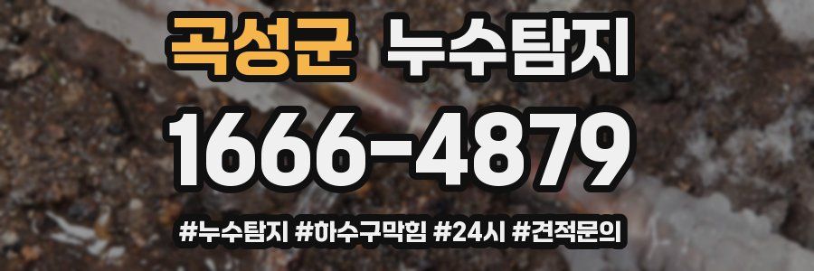 누수닥터 누수탐지