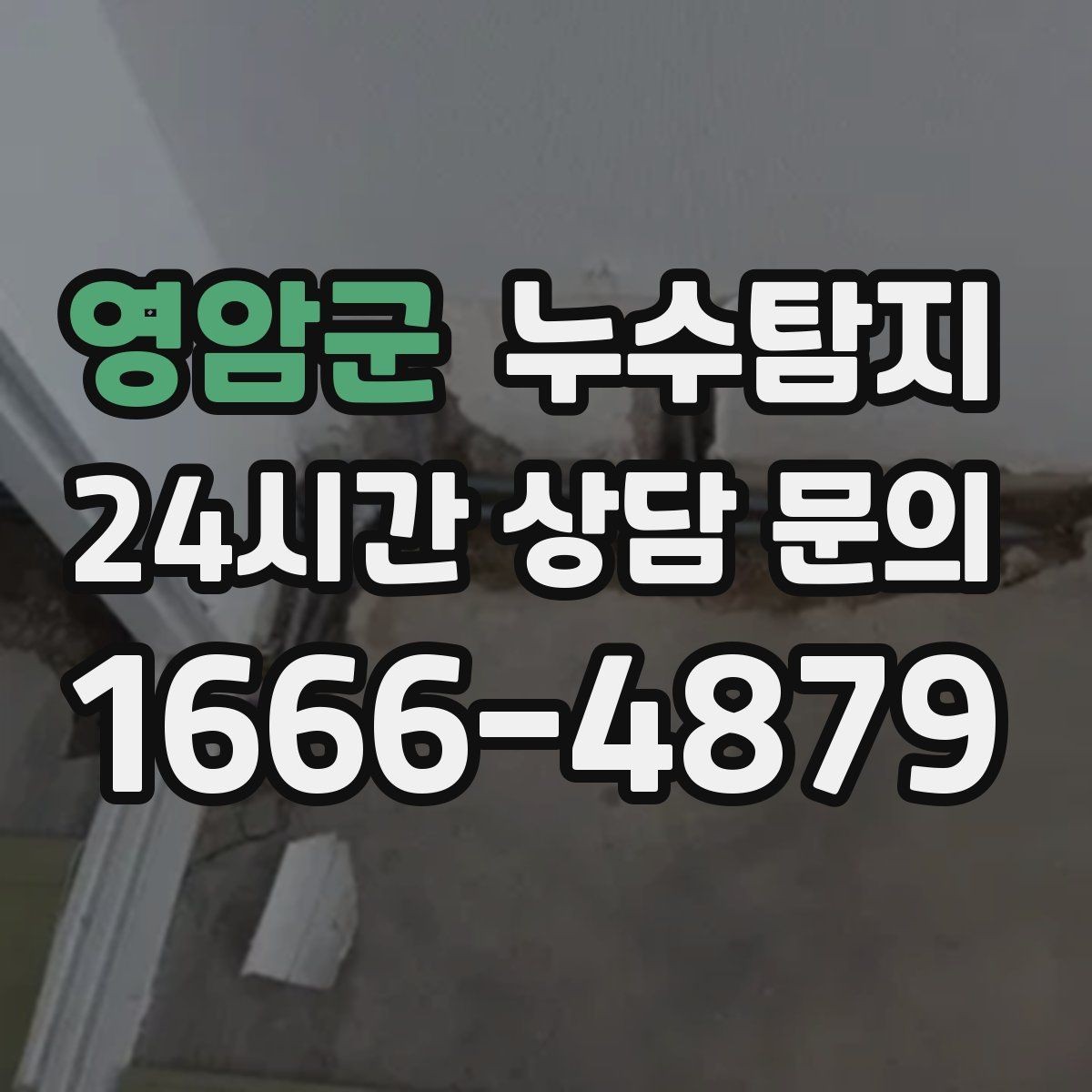 영암군 누수탐지 반지하 습기 문제가 발생했다면