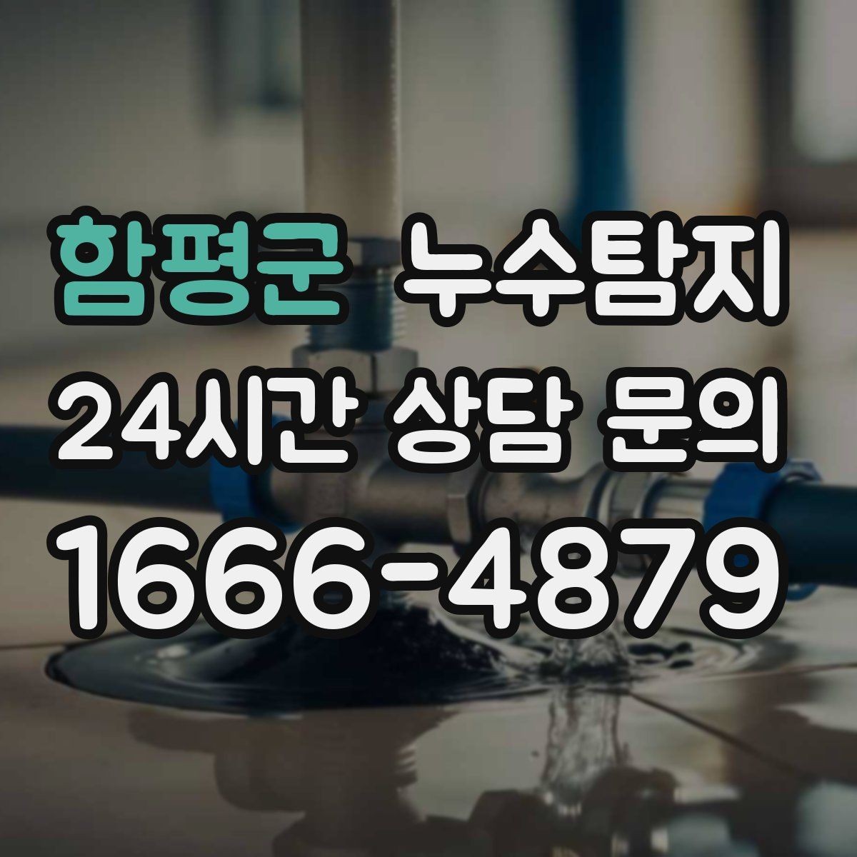 함평군 누수탐지 베란다 배수 문제 해결까지