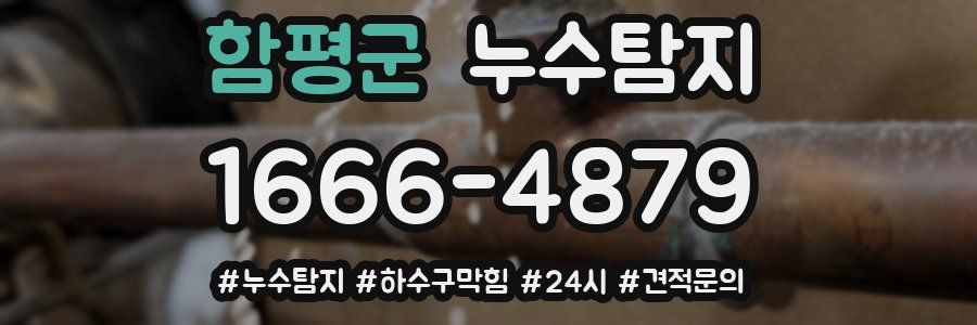 누수닥터 누수탐지