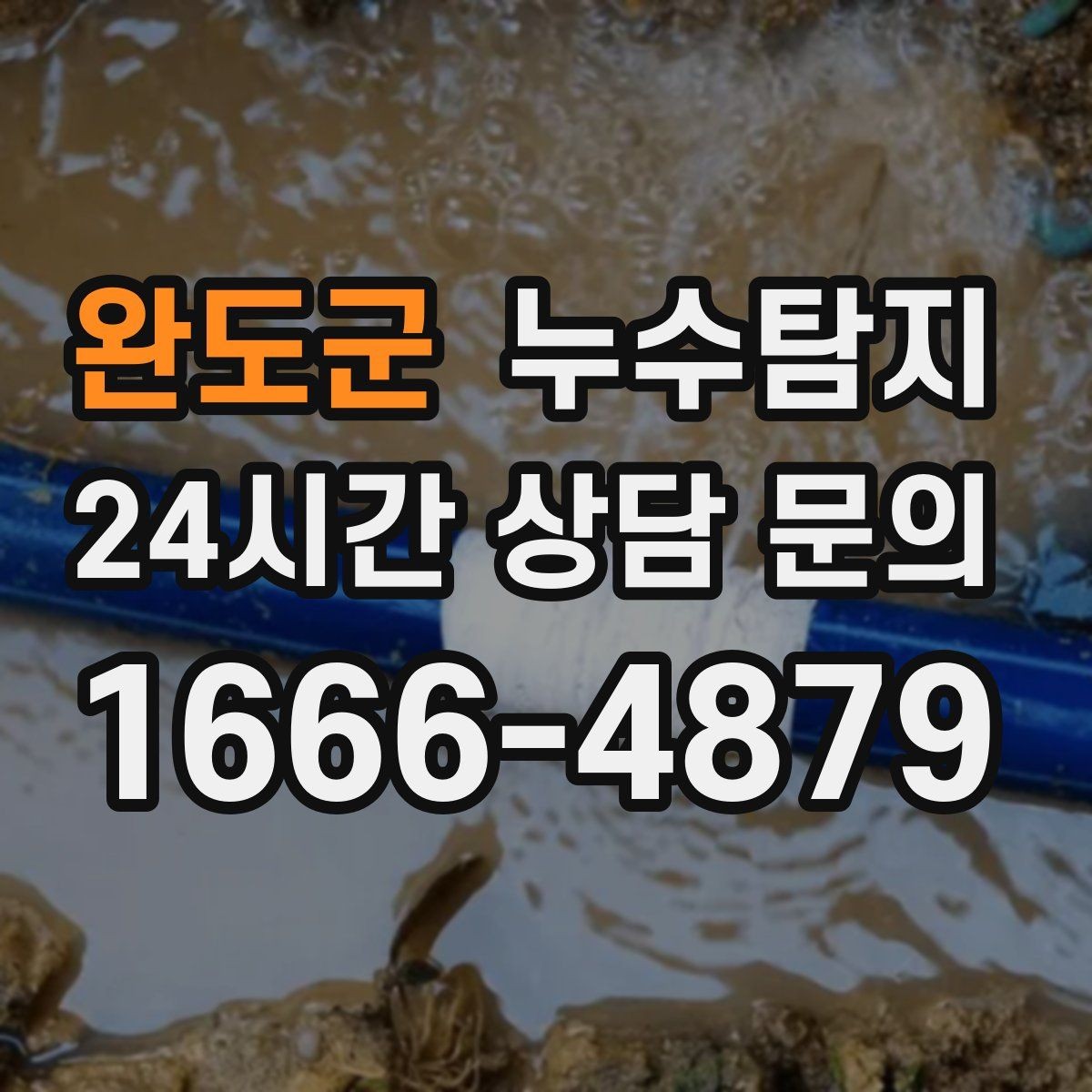 완도군 누수탐지 옥상 파라펫 균열 점검 일지