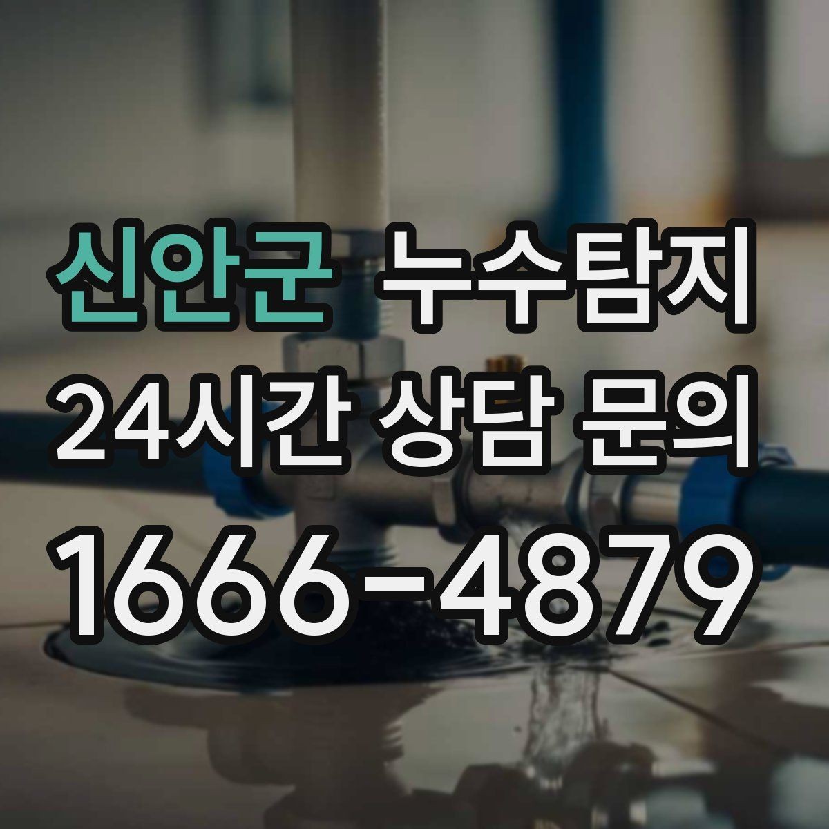 신안군 누수탐지 감춰진 누수 정확한 진단으로 재빨리 해결해드립니다