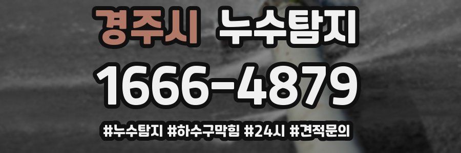 누수닥터 누수탐지