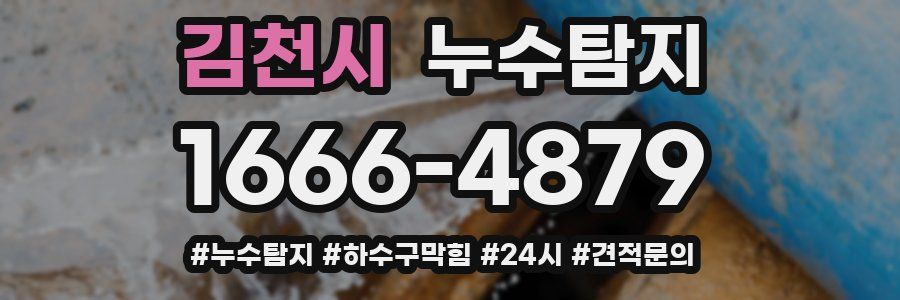 누수닥터 누수탐지