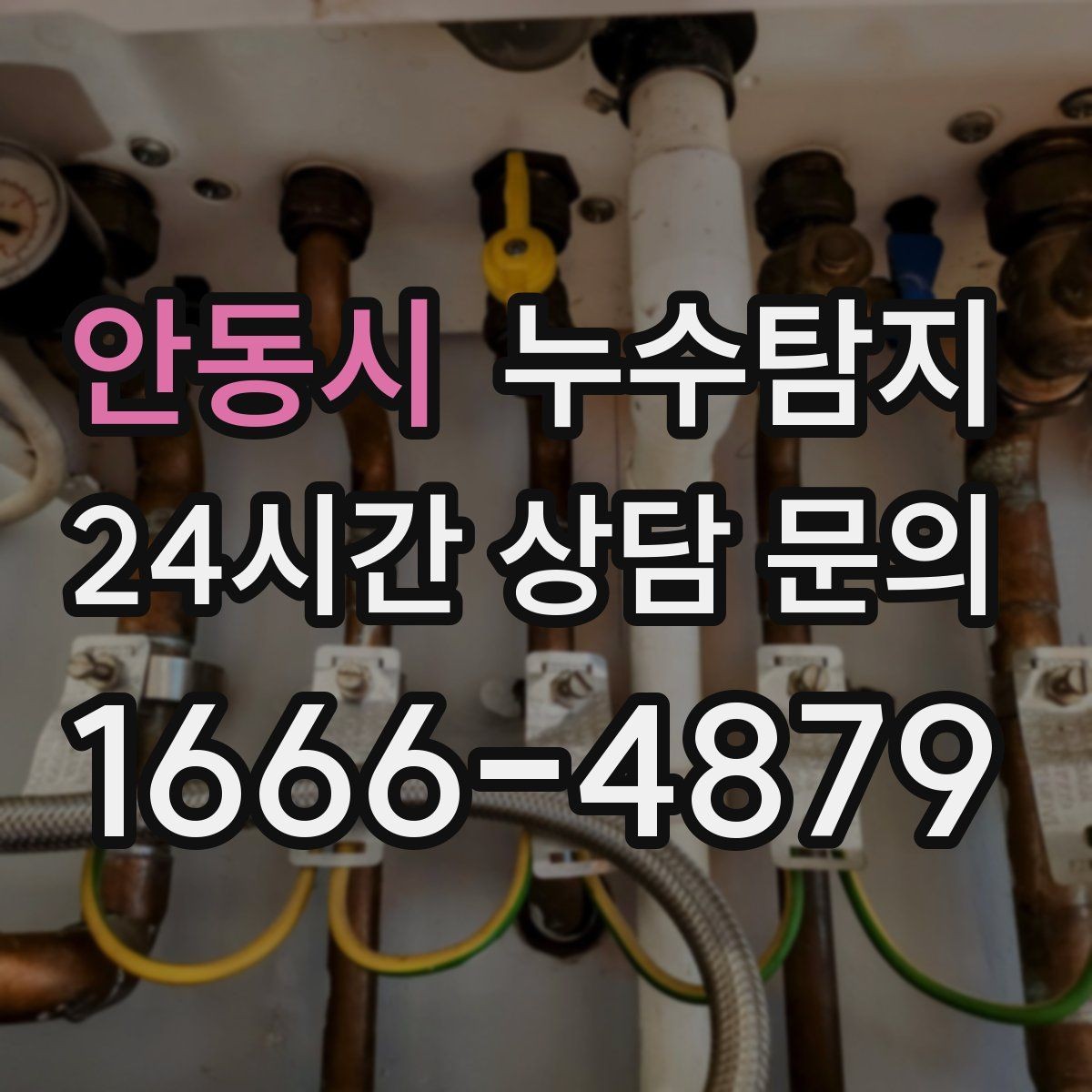 안동시 누수탐지 반지하 습기 문제가 발생했다면