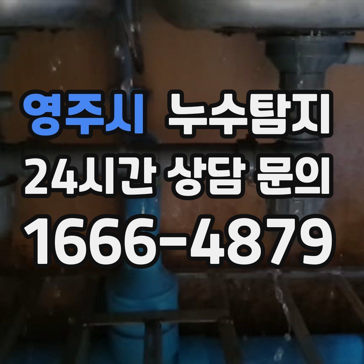 영주시 누수탐지 새집인데 왜 물이 새는지 점검기
