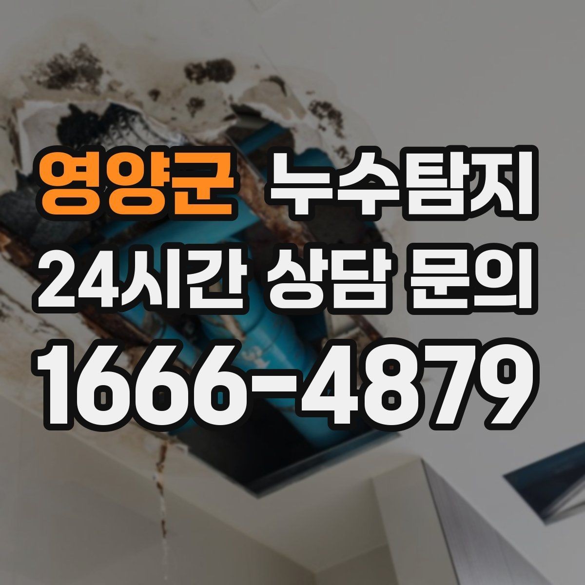 영양군 누수탐지 창고 곰팡이 제거와 재발 방지